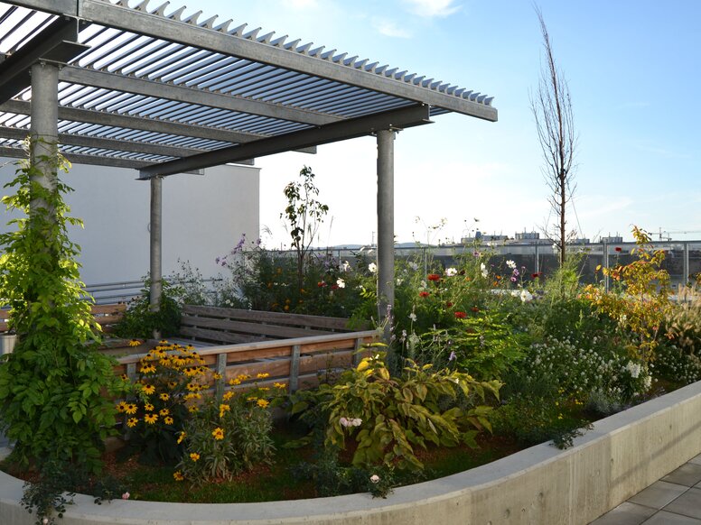 Maison Kolping Vivre ensemble à Vienne, terrasse sur le toit